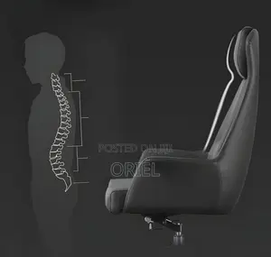 Office Chair : Gray Premium Executive Office Seat