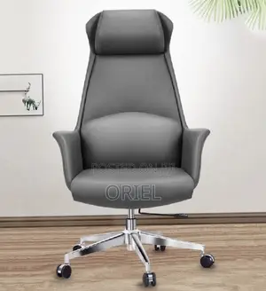 Office Chair : Gray Premium Executive Office Seat