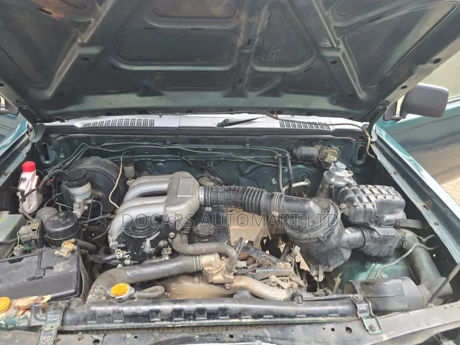 Nissan Hardbody 2008 Green