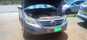 Volkswagen Tiguan 2010 Silver