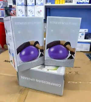 High Quality Yoga Swiss Ball / Anti-Burst Gym Swiss Ball