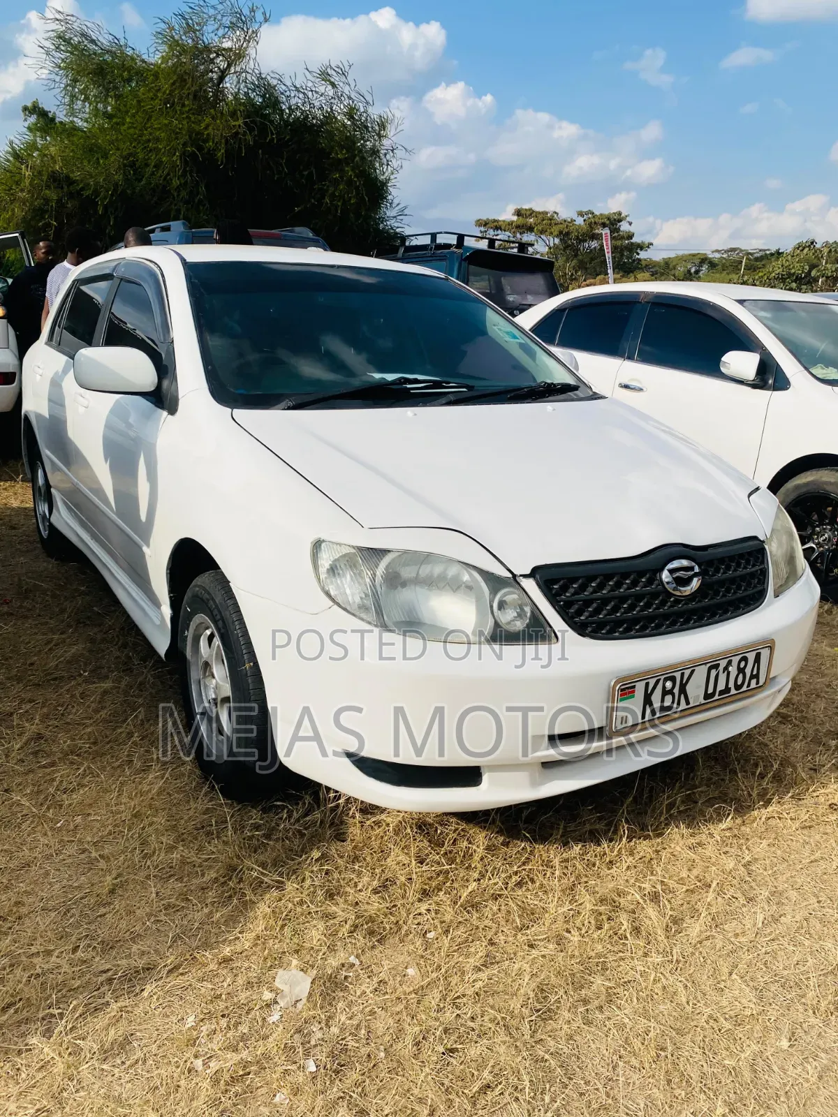 Toyota Corolla RunX 2006 White