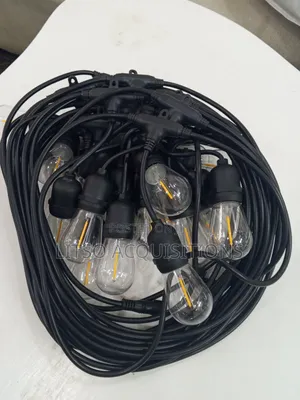 20M Outdoor LED String Lights With Bulbs | Decorative Garden Lights