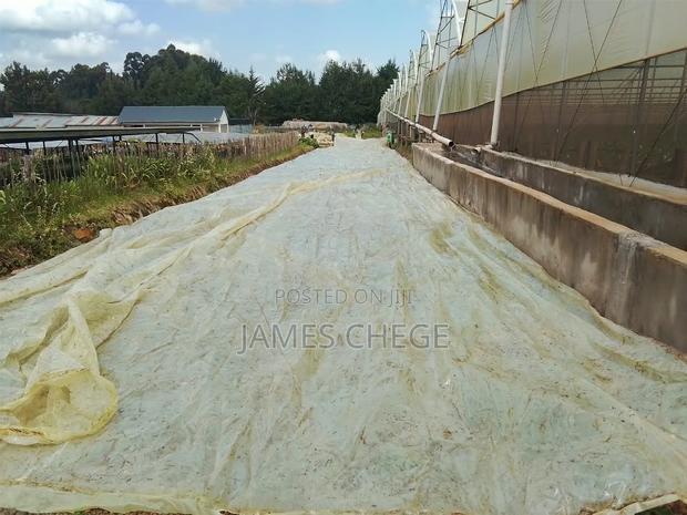 Green House Polythene - main view