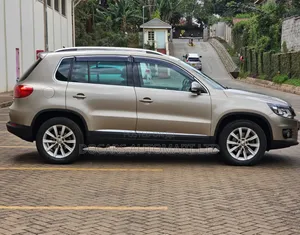 Volkswagen Tiguan 2012 Gold