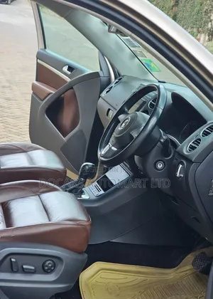 Volkswagen Tiguan 2012 Gold
