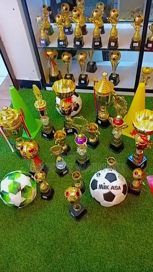 Alik Sports House