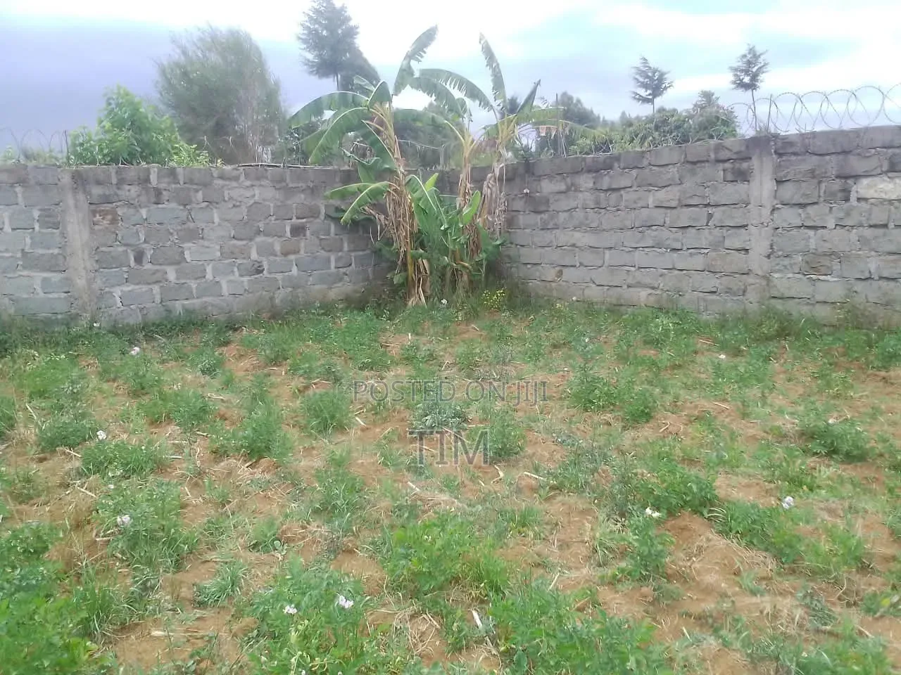 Plot for Sale