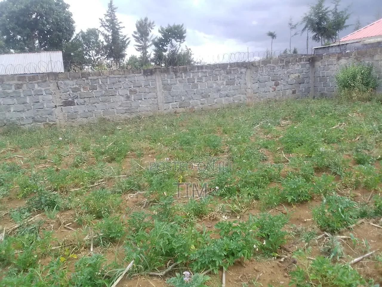 Plot for Sale
