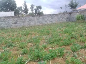 Plot for Sale