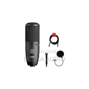 AKG P120 Cardioid Large-Diaphragm Condenser Microphone