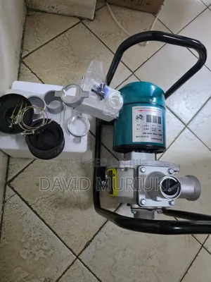 Premier 2" DC Surface Pump