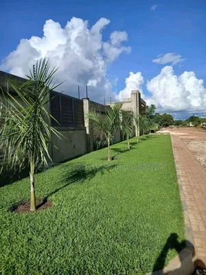 Best Grass Planting and Cutting/ Flowering