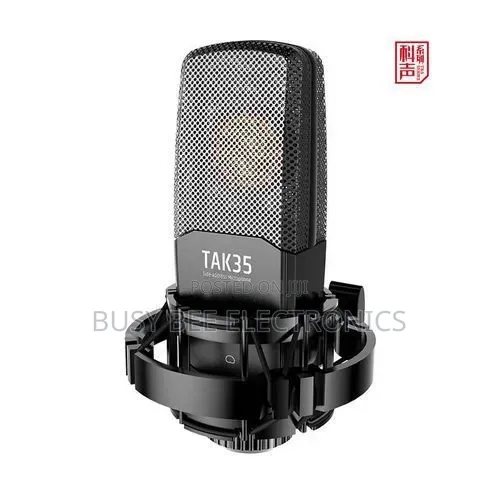 Takstar TAK35 Recording Studio Microphone