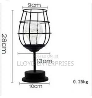 *Unique Dishykooker Battery Powered Bulb Bottle Decorative