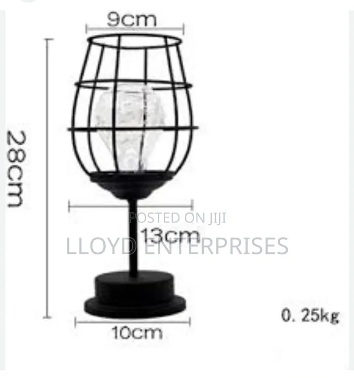 *Unique Dishykooker Battery Powered Bulb Bottle Decorative