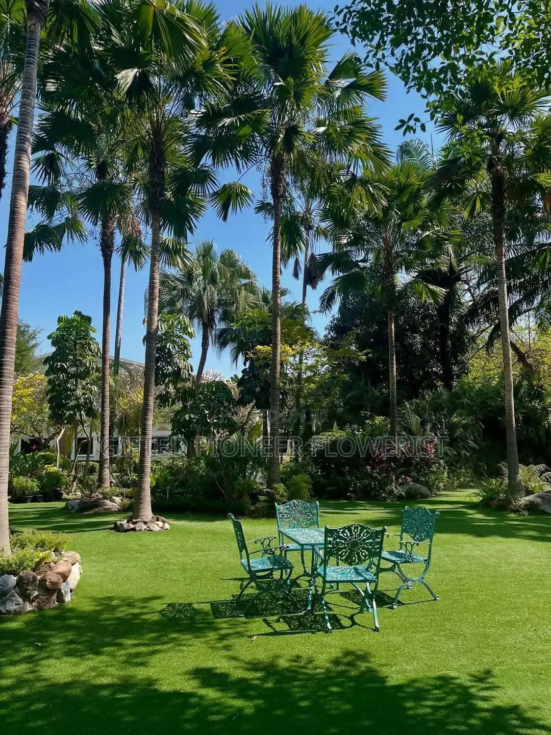 Best Grass Planting and Cutting/ Flowering