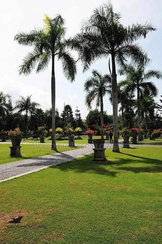 Best Grass Planting and Cutting/ Flowering