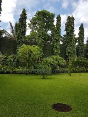 Best Grass Planting and Cutting/ Flowering