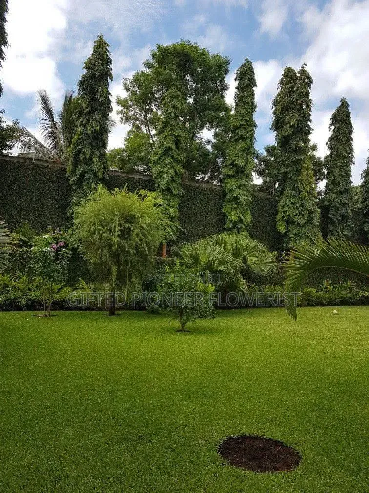 Best Grass Planting and Cutting/ Flowering