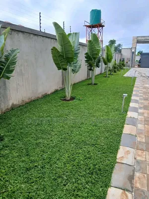 Best Grass Planting and Cutting/ Flowering