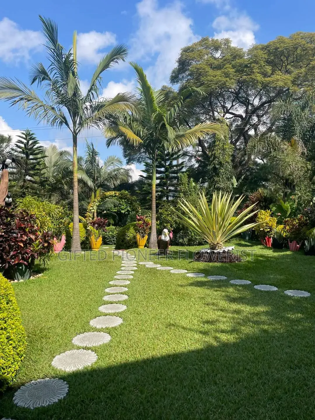 Best Grass Planting and Cutting/ Flowering
