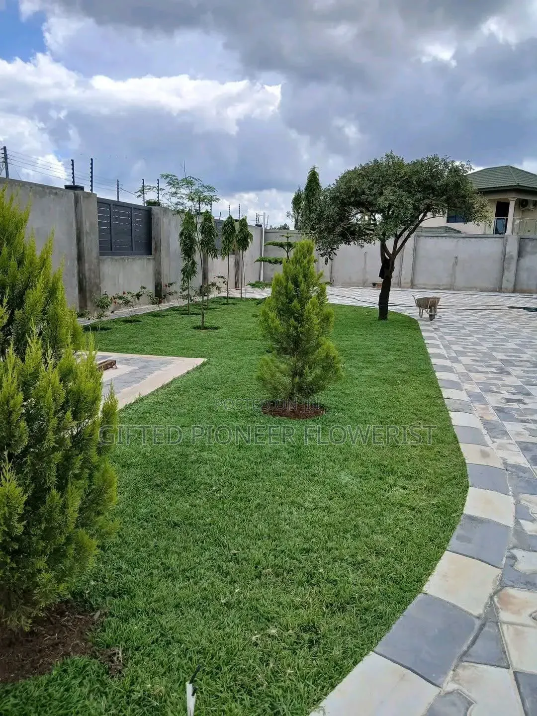 Best Grass Planting and Cutting/ Flowering