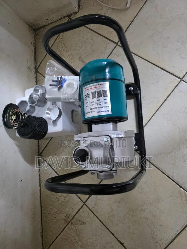 Premier 2-Inch 96V DC Solar Water Pump.