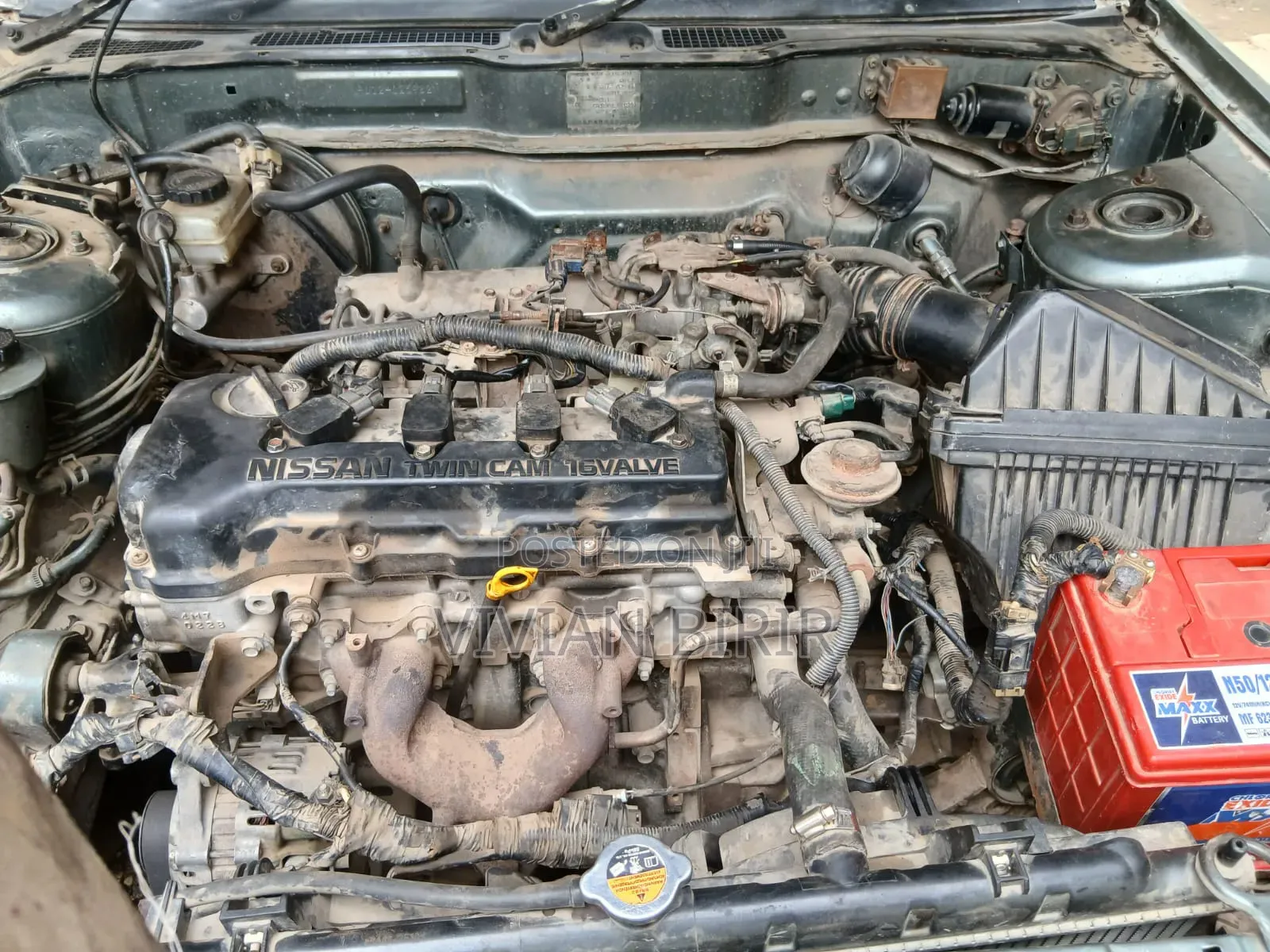 Nissan Bluebird 1999 Gray