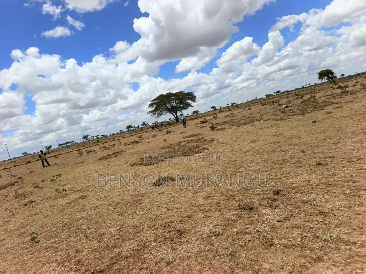 Land and Plots for Sale 50*100