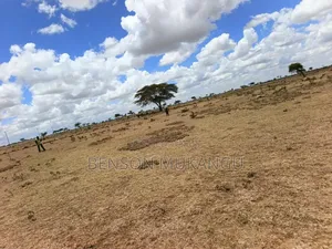 Land and Plots for Sale 50*100