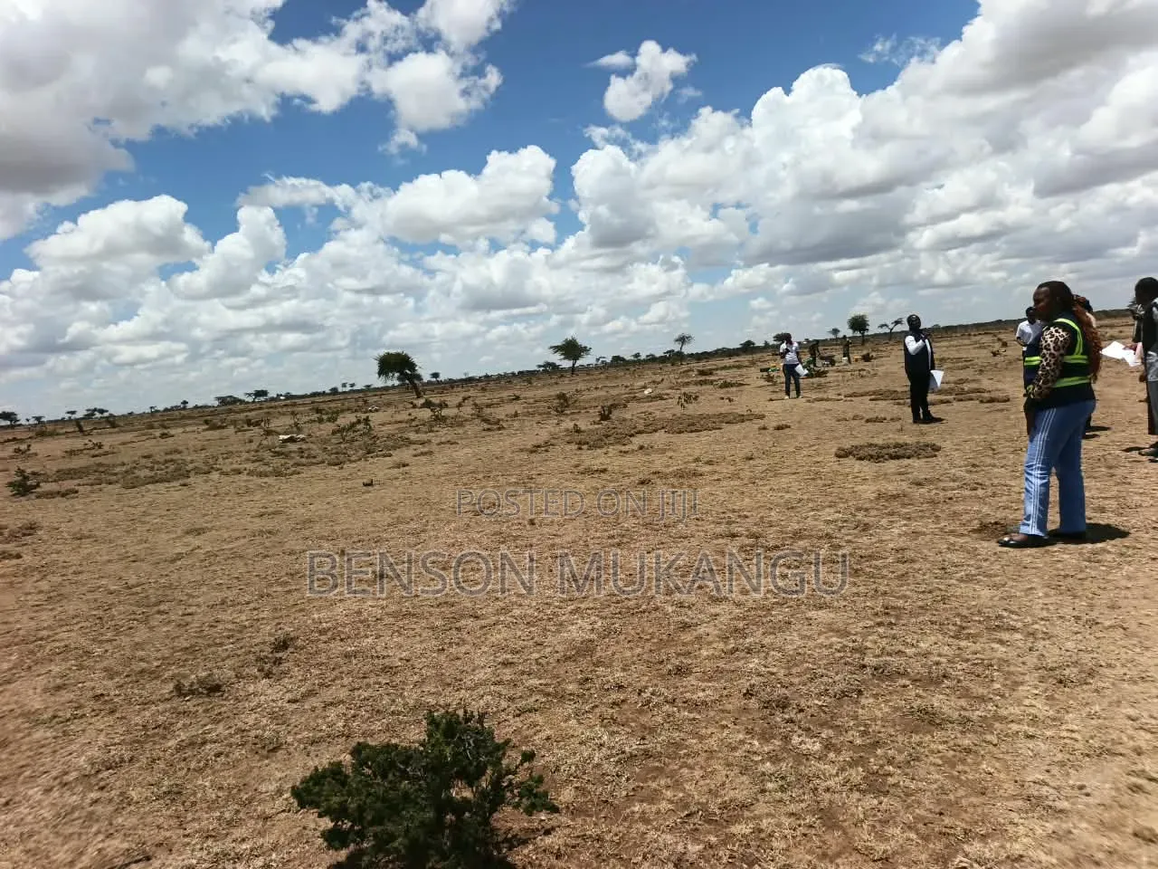 Land and Plots for Sale 50*100