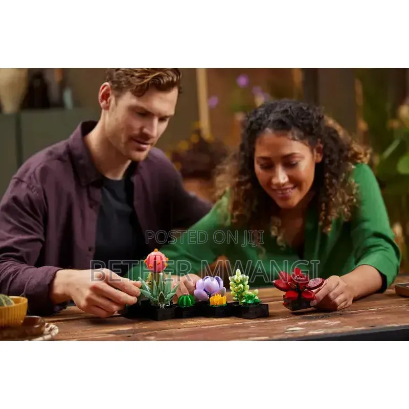 Lego Icons Succulents