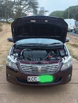 Toyota Premio 2008 Maroon