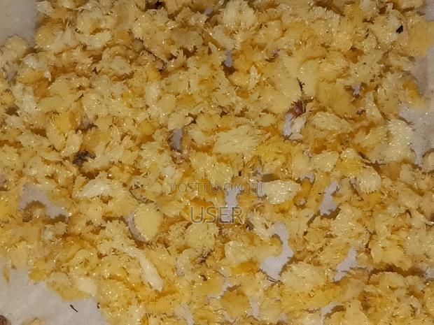 Black Soldier Fly Eggs (BSF)