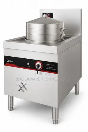 Induction Dim Sum Steamer