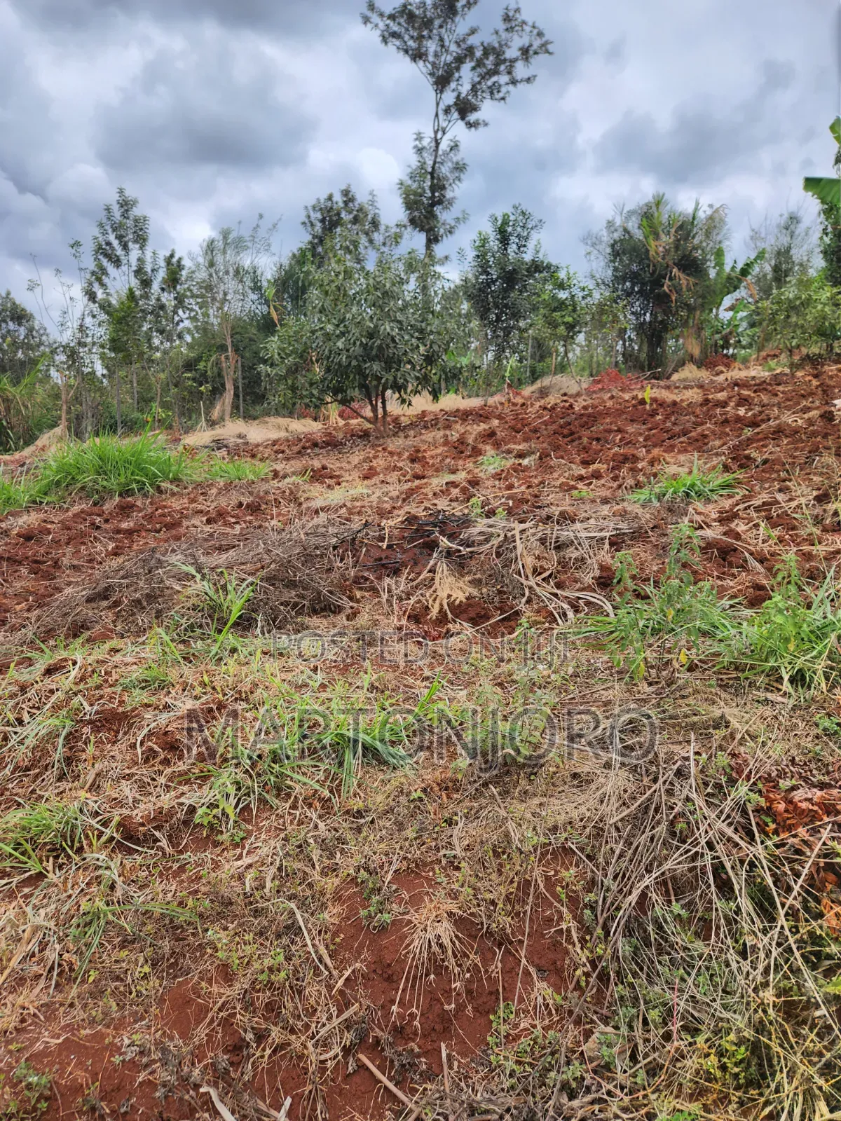 2 Acres Gatundu [ Githaruru]