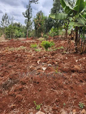 2 Acres Gatundu [ Githaruru]