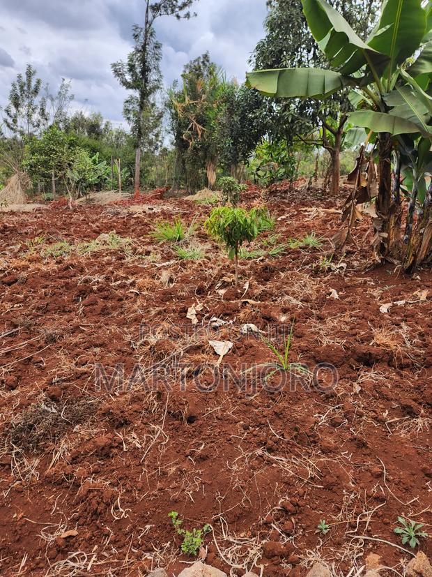 2 Acres Gatundu [ Githaruru] - thumbnail 4