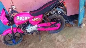Bajaj Boxer 150 UG 2022 Pink