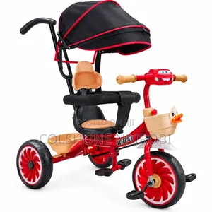 Kids’ 3-Wheel Tricycle With Push Handle Canopy