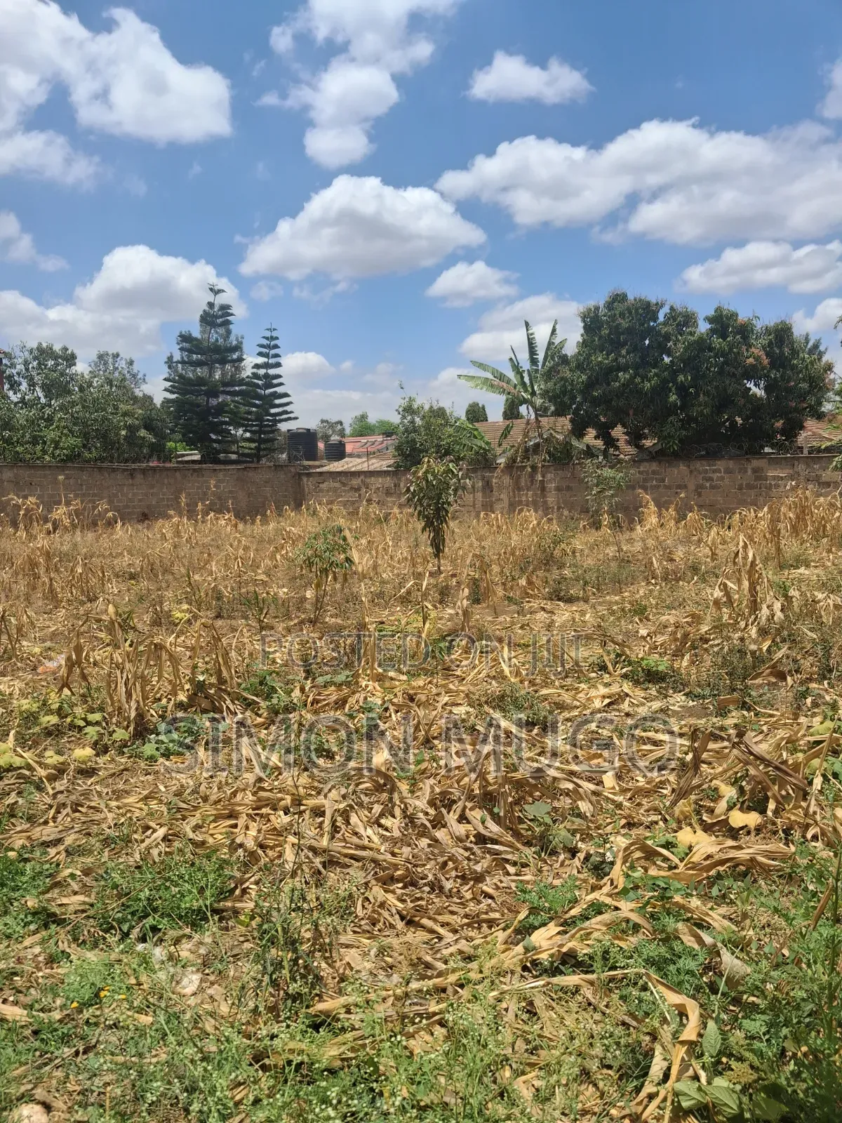 Kahawa Sukari Geoffrey Lourutte Road Prime Secure 1/4 AC