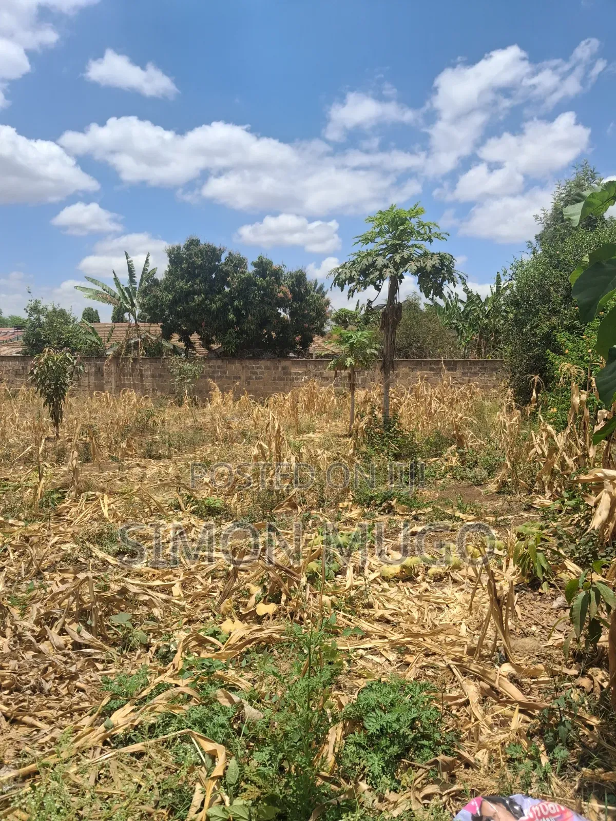 Kahawa Sukari Geoffrey Lourutte Road Prime Secure 1/4 AC