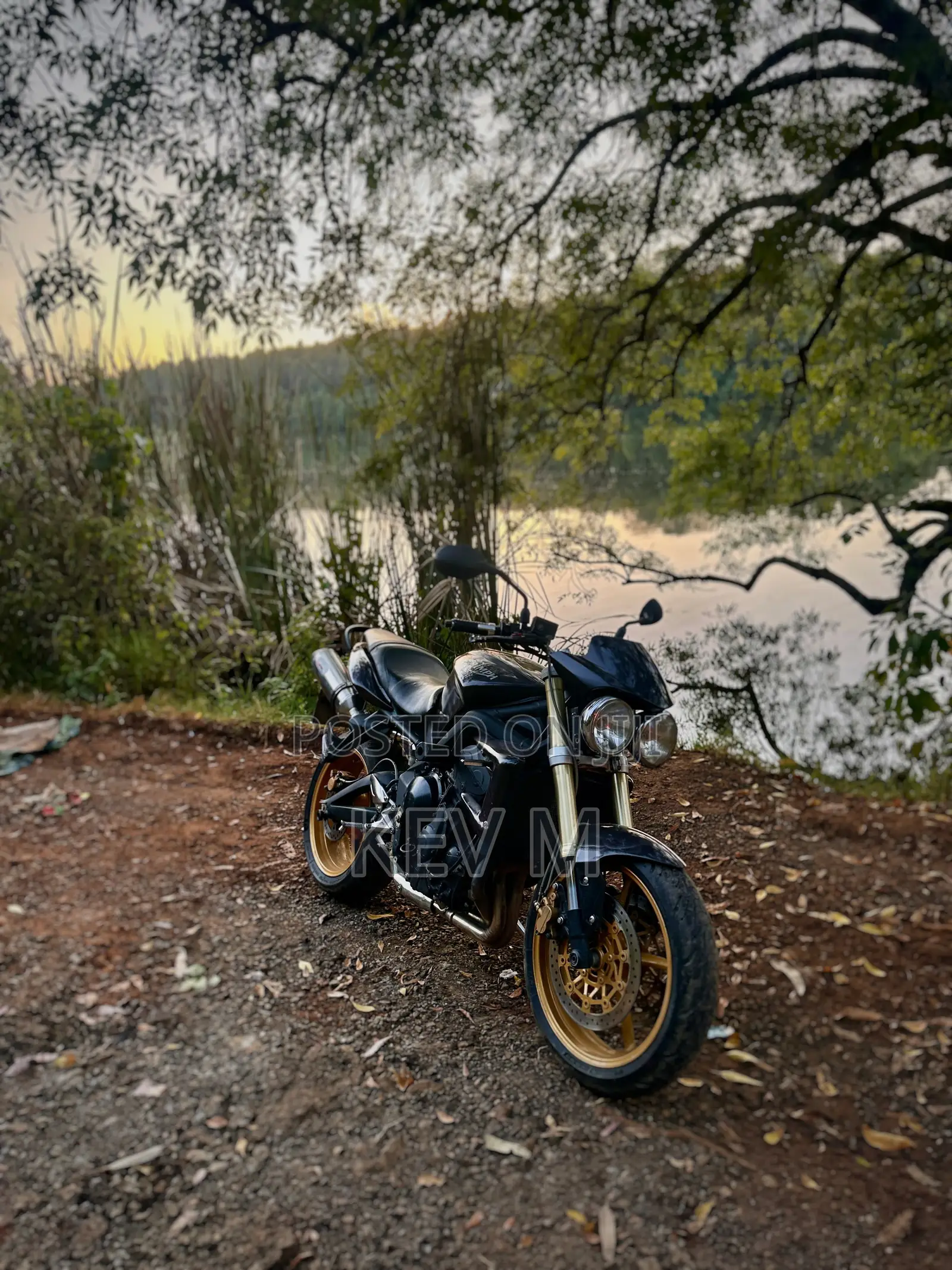 Triumph 2011 Black