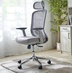 Office Chair : Orthopedic Gray Staff Chair