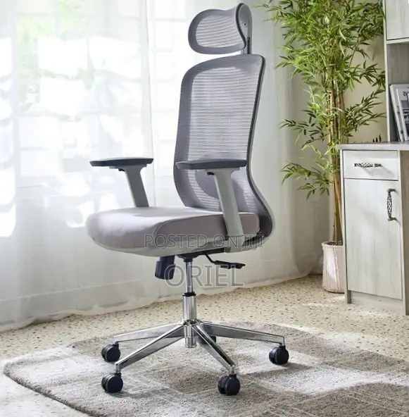 Office Chair : Orthopedic Gray Staff Chair