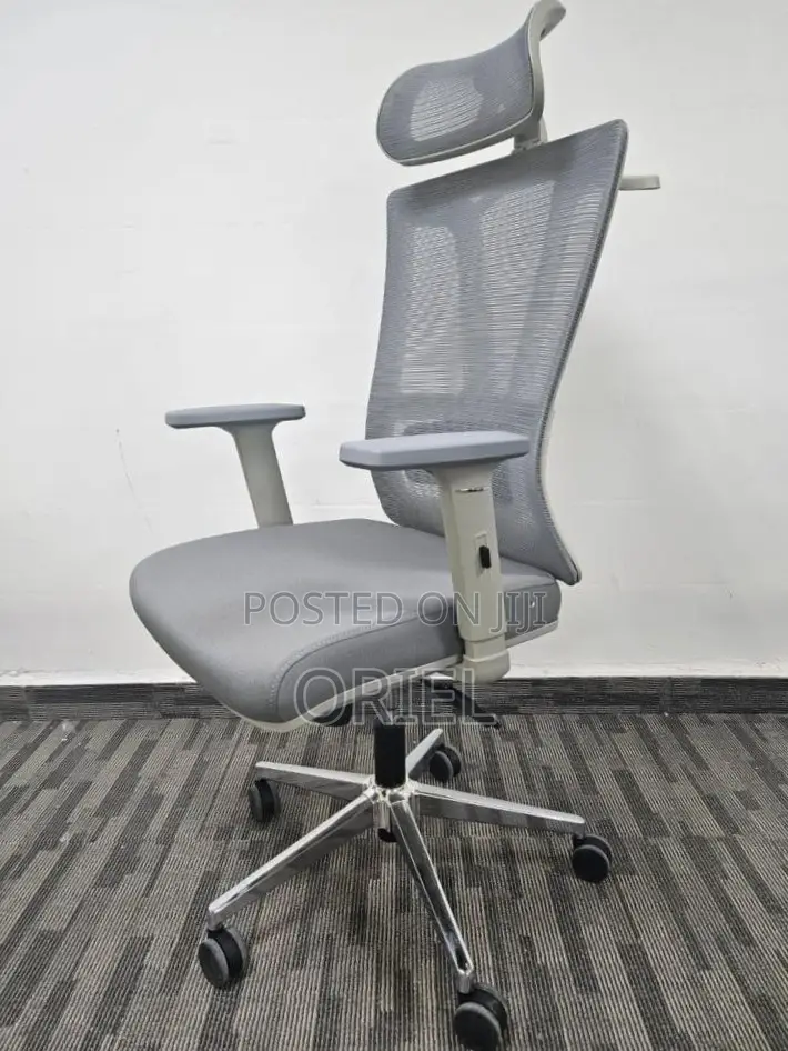 Office Chair : Orthopedic Gray Staff Chair
