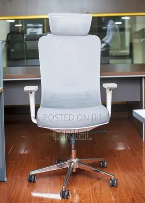 Office Chair : Orthopedic Gray Staff Chair