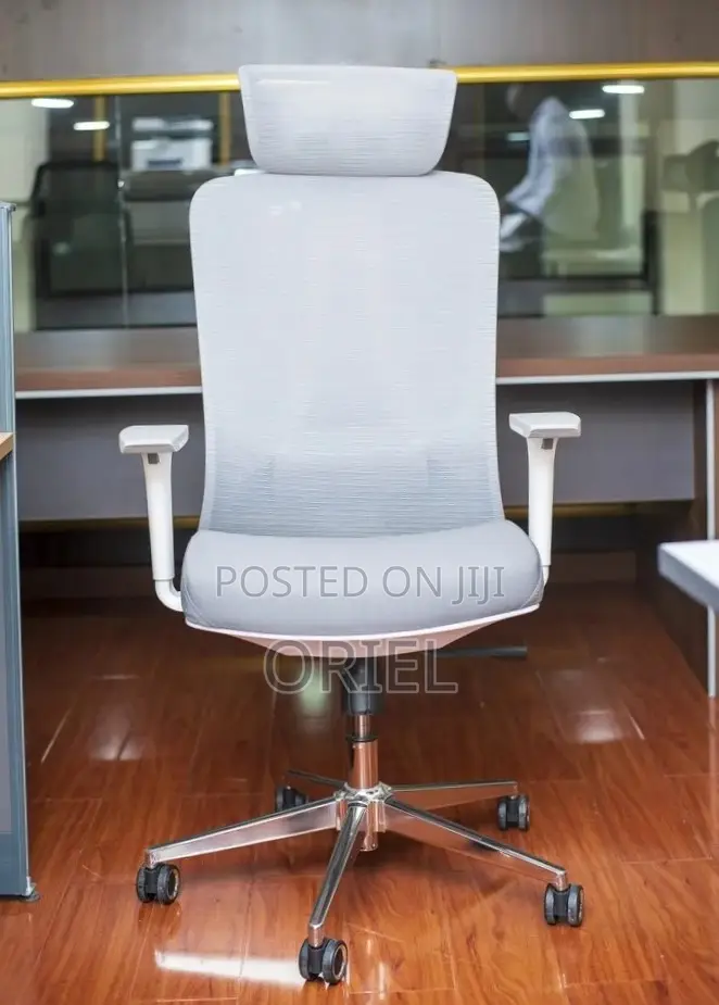 Office Chair : Orthopedic Gray Staff Chair