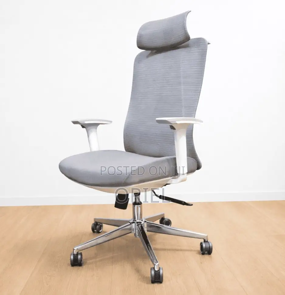 Office Chair : Orthopedic Gray Staff Chair